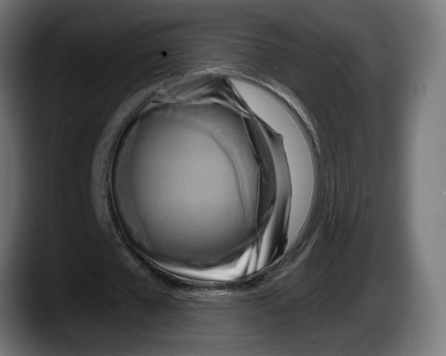 X0000087530577200705251701
