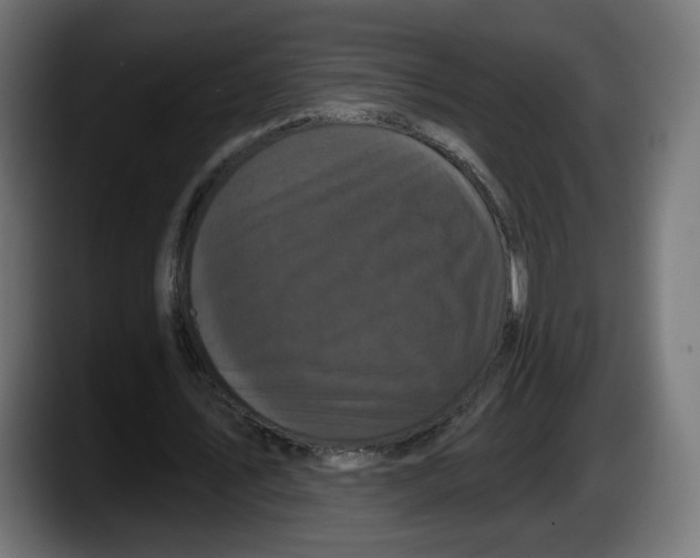 X0000087530579200705251701