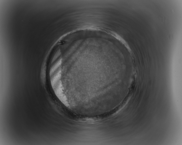 X0000087530580200705251701