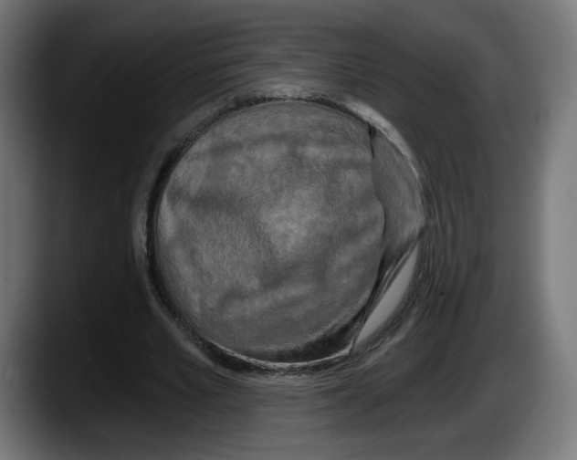 X0000087530581200705251701