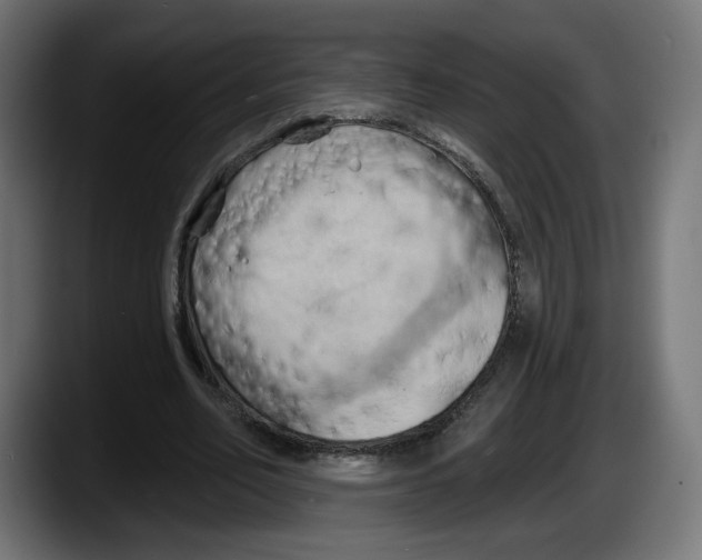 X0000087530582200705251701