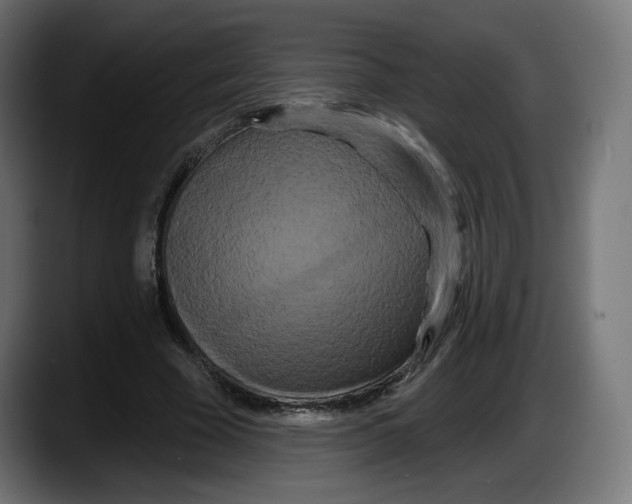 X0000087530585200705251701