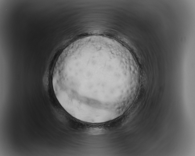 X0000087530586200705251701