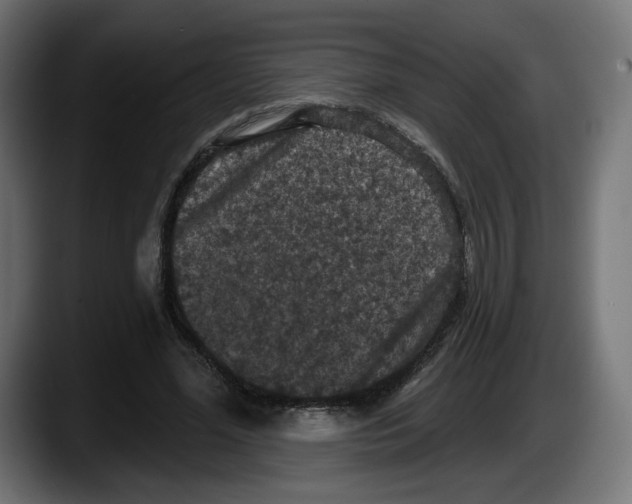 X0000087530588200705251701