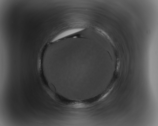 X0000087530589200705251701