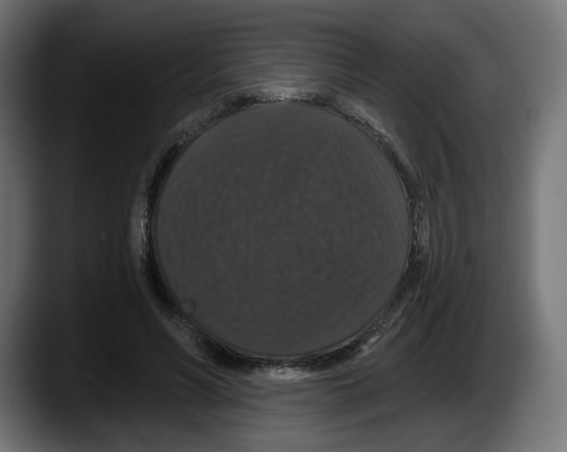X0000087530590200705251701