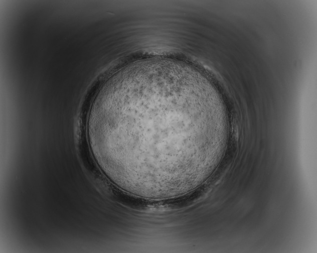 X0000087530591200705251701