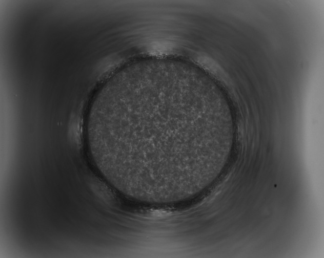 X0000087530592200705251701