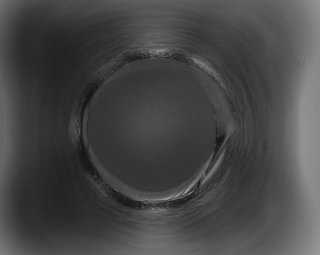 X0000087530593200705251701