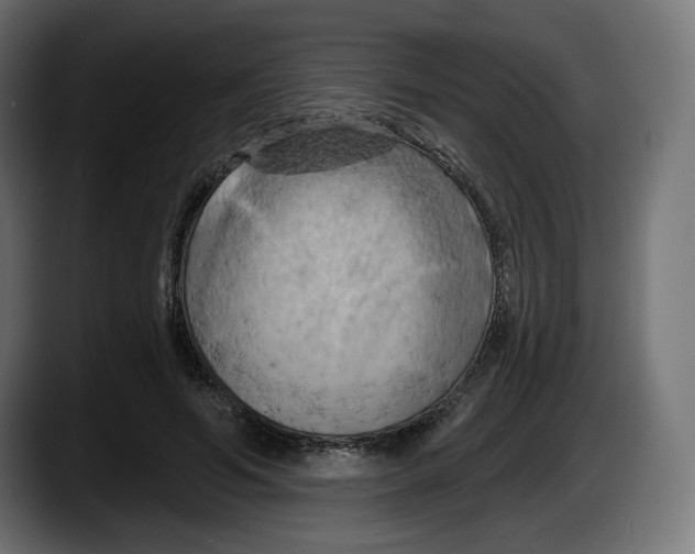 X0000087530594200705251701