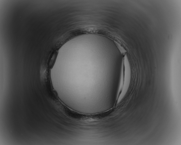 X0000087530597200705251701