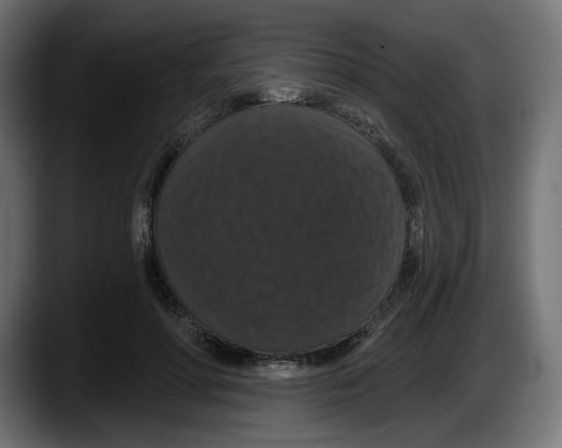 X0000087530598200705251701
