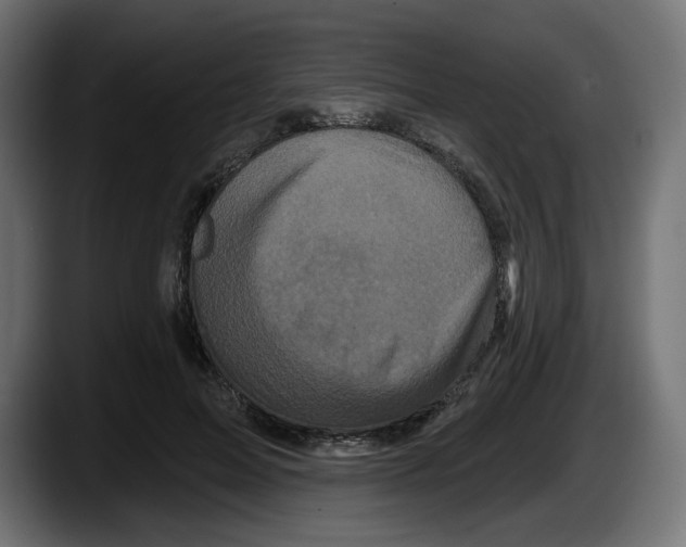 X0000087530599200705251701