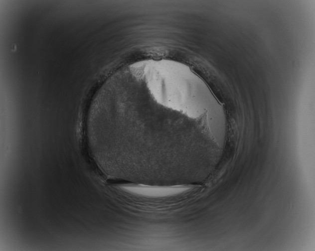 X0000087530600200705251701