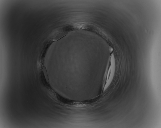 X0000087530601200705251701