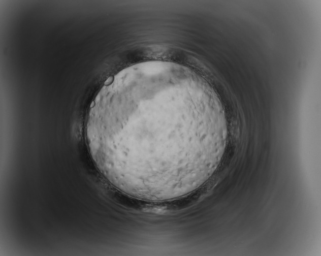 X0000087530602200705251701