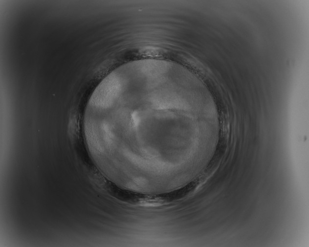 X0000087530603200705251701