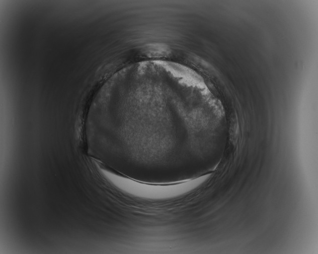 X0000087530604200705251701