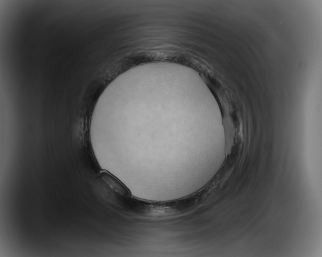 X0000087530605200705251701