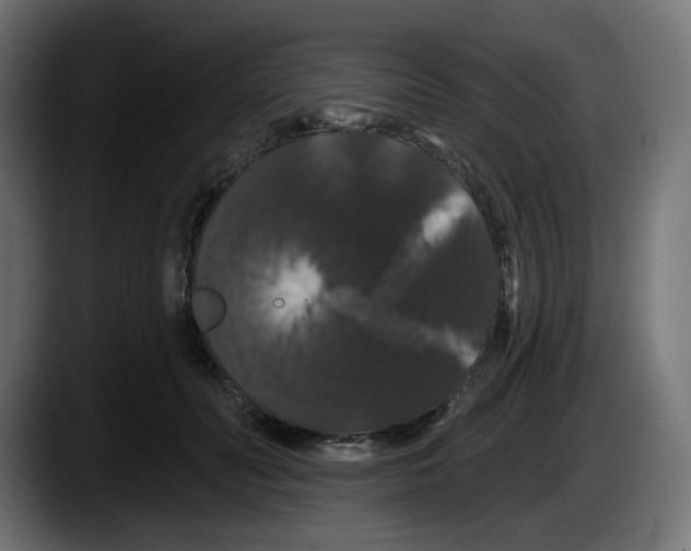 X0000087530606200705251701