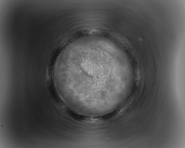 X0000087530607200705251701