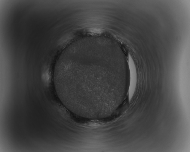 X0000087530608200705251701