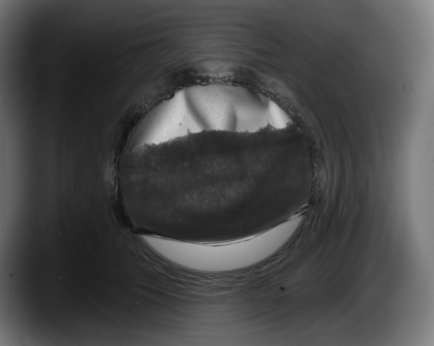 X0000087530609200705251701