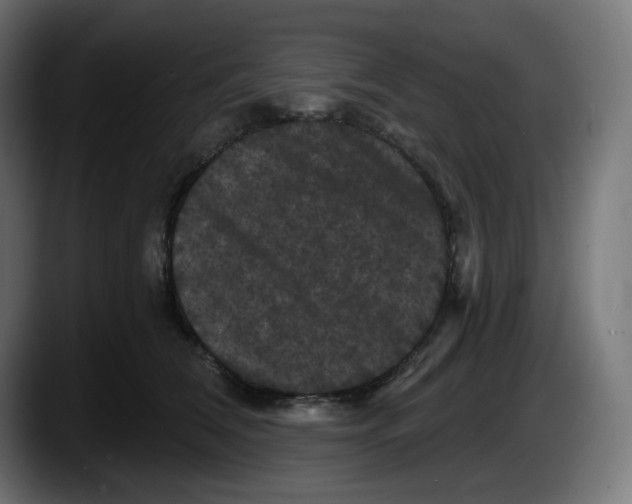 X0000087530612200705251701
