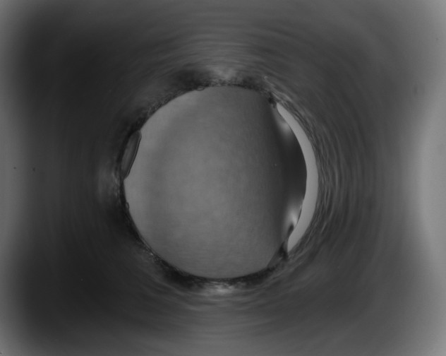 X0000087530613200705251701
