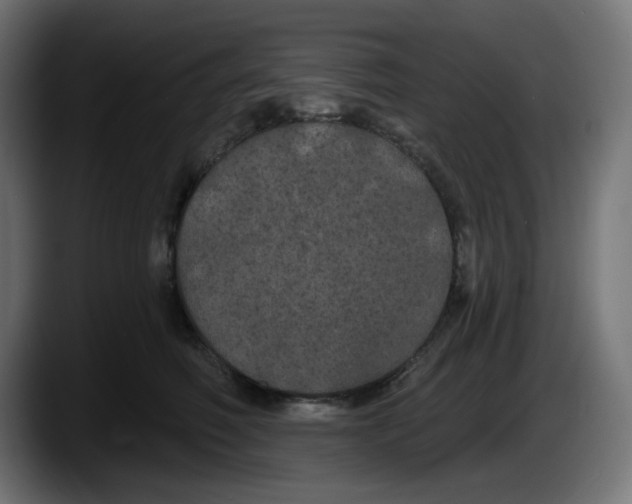 X0000087530614200705251701