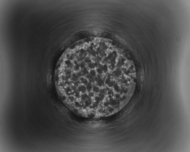 X0000087530615200705251701