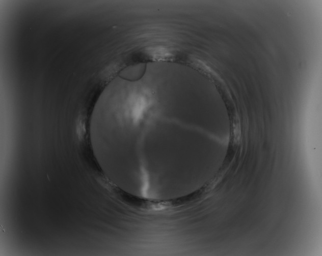X0000087530618200705251701