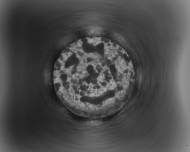 X0000087530619200705251701