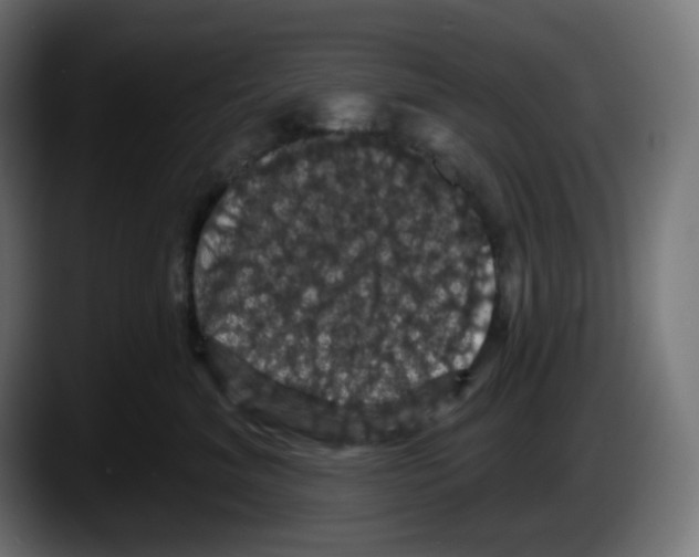 X0000087530620200705251701