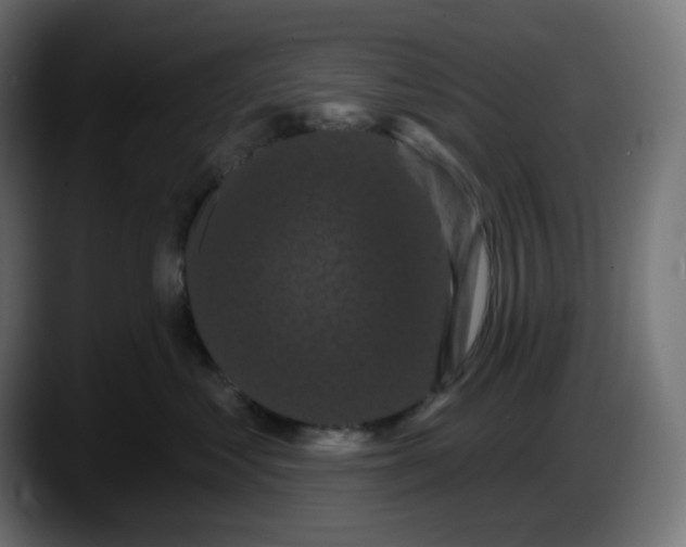 X0000087530621200705251701