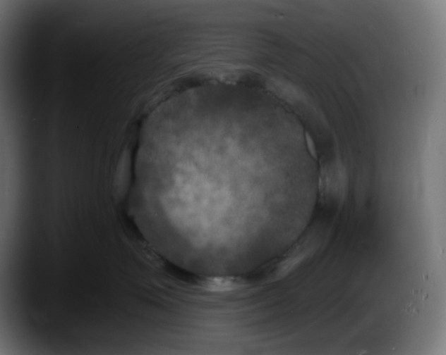 X0000087530623200705251701