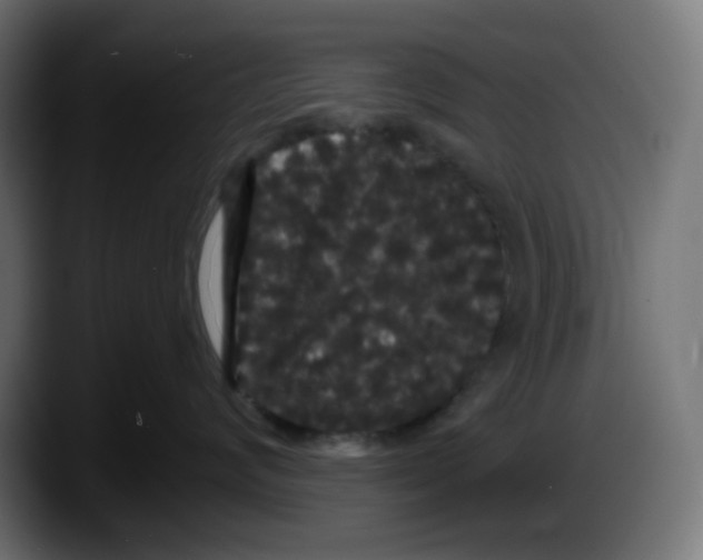 X0000087530624200705251701
