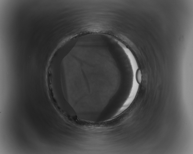 X0000087530626200705251700