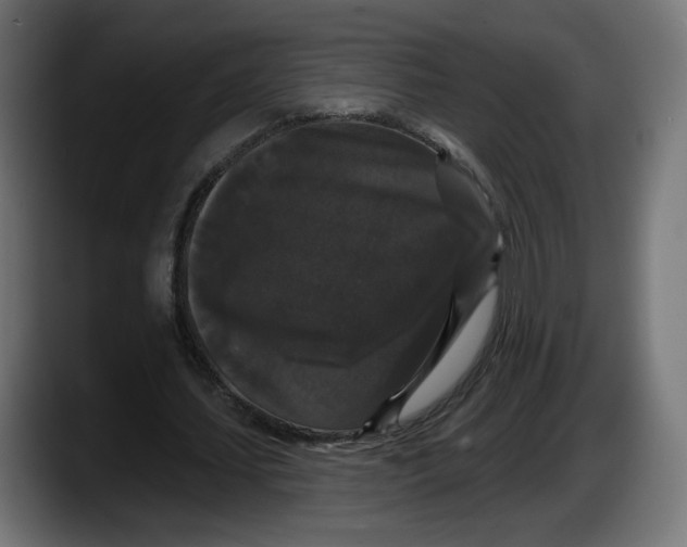 X0000087530627200705251700