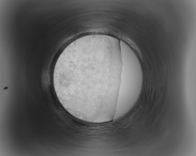 X0000087530628200705251700