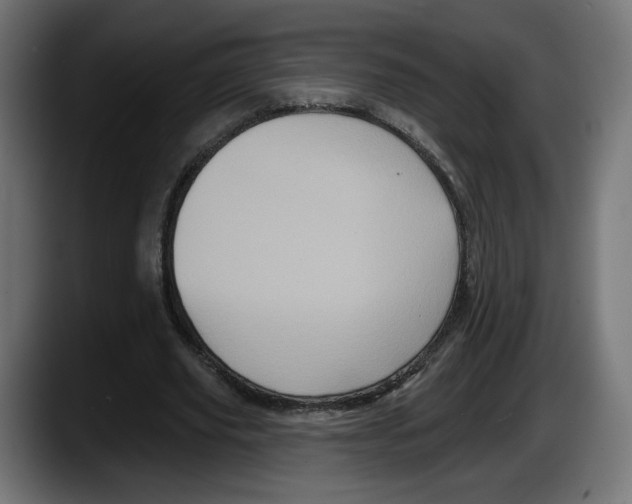 X0000087530629200705251700