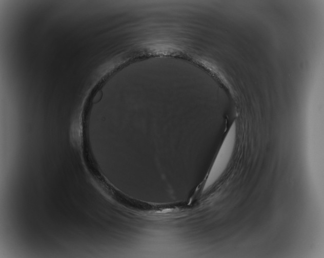 X0000087530630200705251700