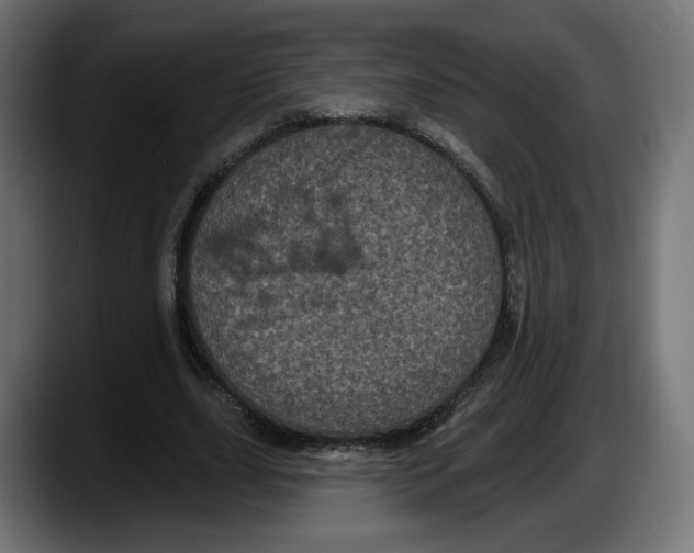X0000087530631200705251700
