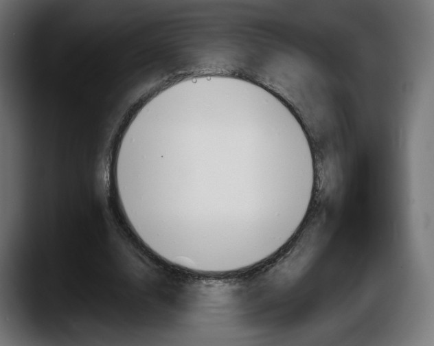 X0000087530632200705251700