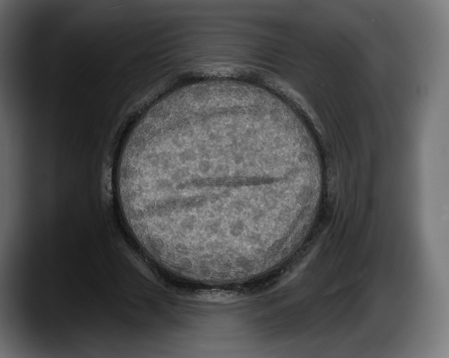 X0000087530633200705251700