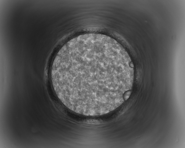 X0000087530636200705251700