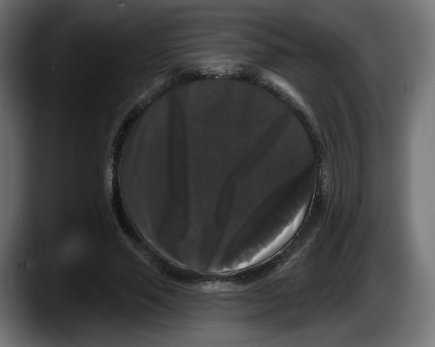 X0000087530637200705251700