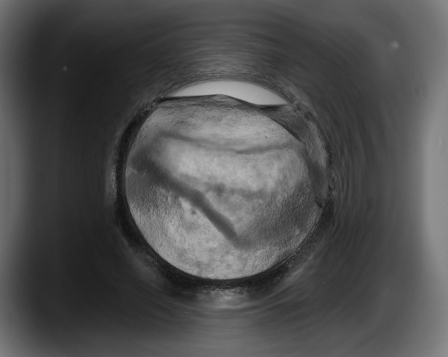 X0000087530638200705251700