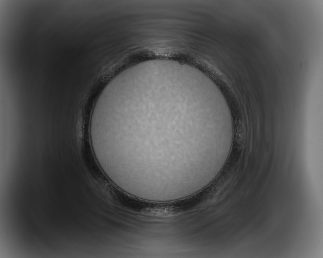 X0000087530639200705251700