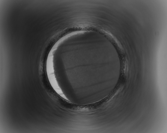 X0000087530640200705251700